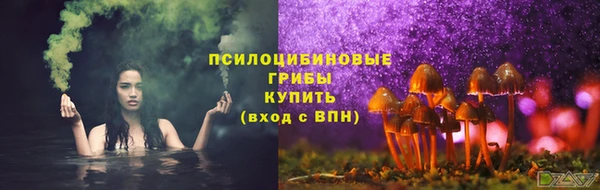 дмт Богданович