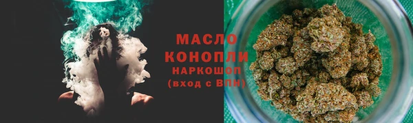 дмт Богданович