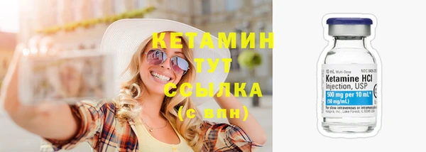 шишки Богородицк