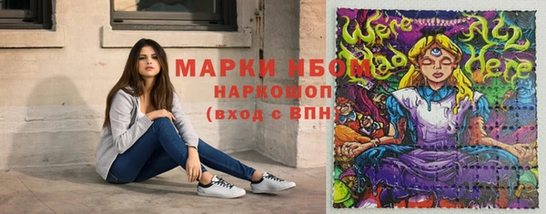 дмт Богданович