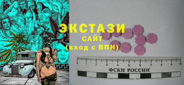 дмт Богданович
