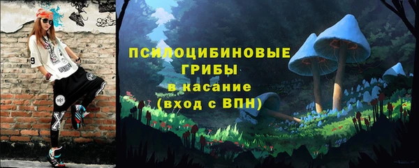 шишки Богородицк