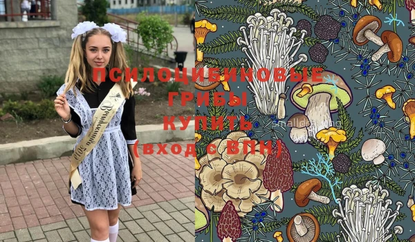 шишки Богородицк