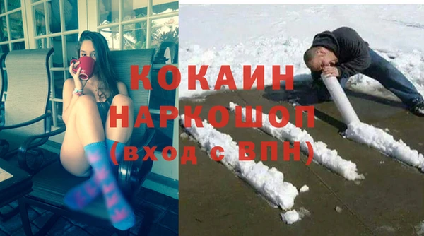 шишки Богородицк