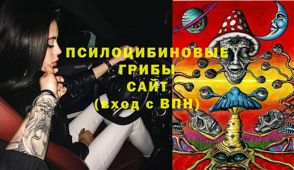 дмт Богданович