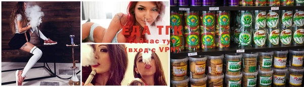дмт Богданович