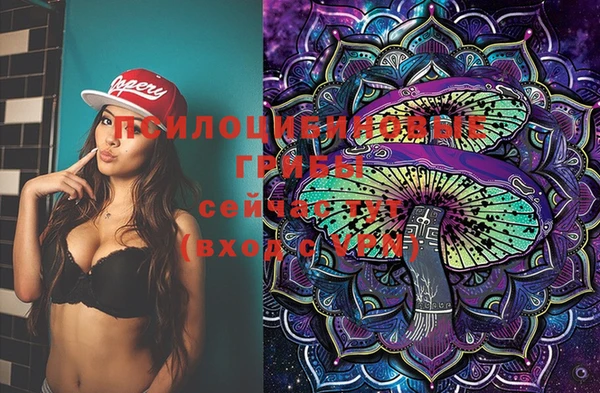 спайс Киренск