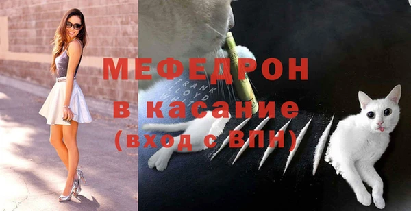 дмт Богданович