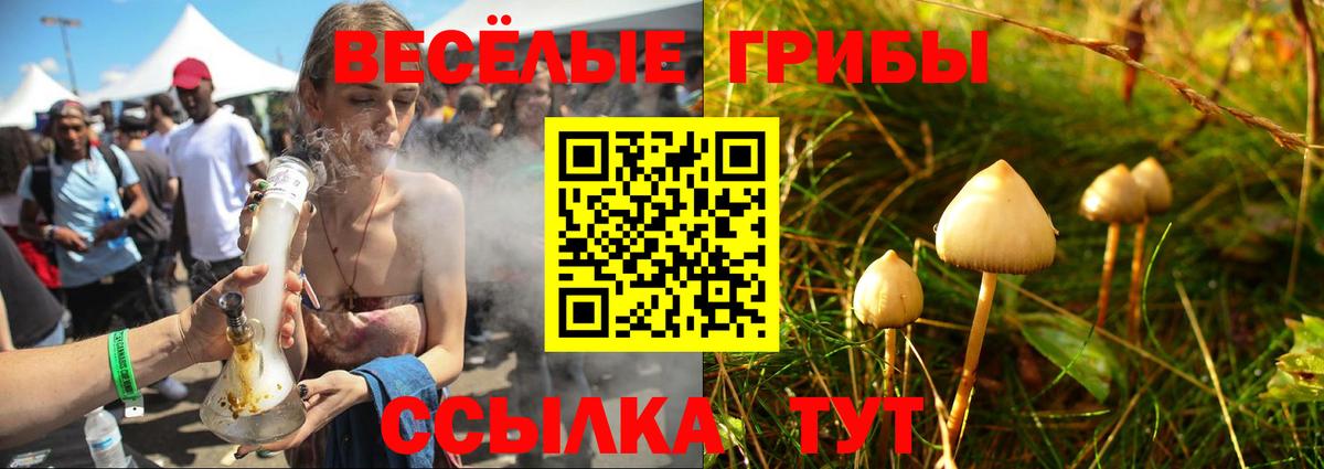 Псилоцибиновые грибы Psilocybe  Вход с VPN  купить наркоту  Мурманск 